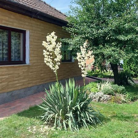 Haven Katherina Fonyodliget Kültér fotó
