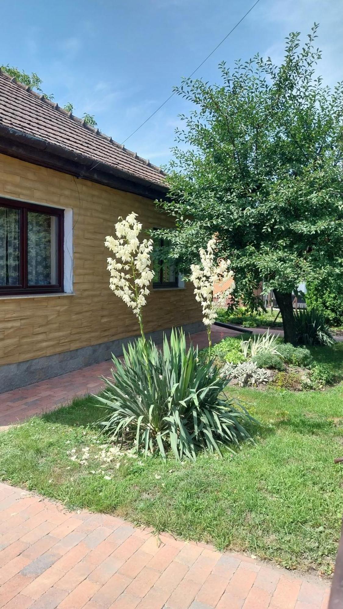 Haven Katherina Fonyodliget Kültér fotó